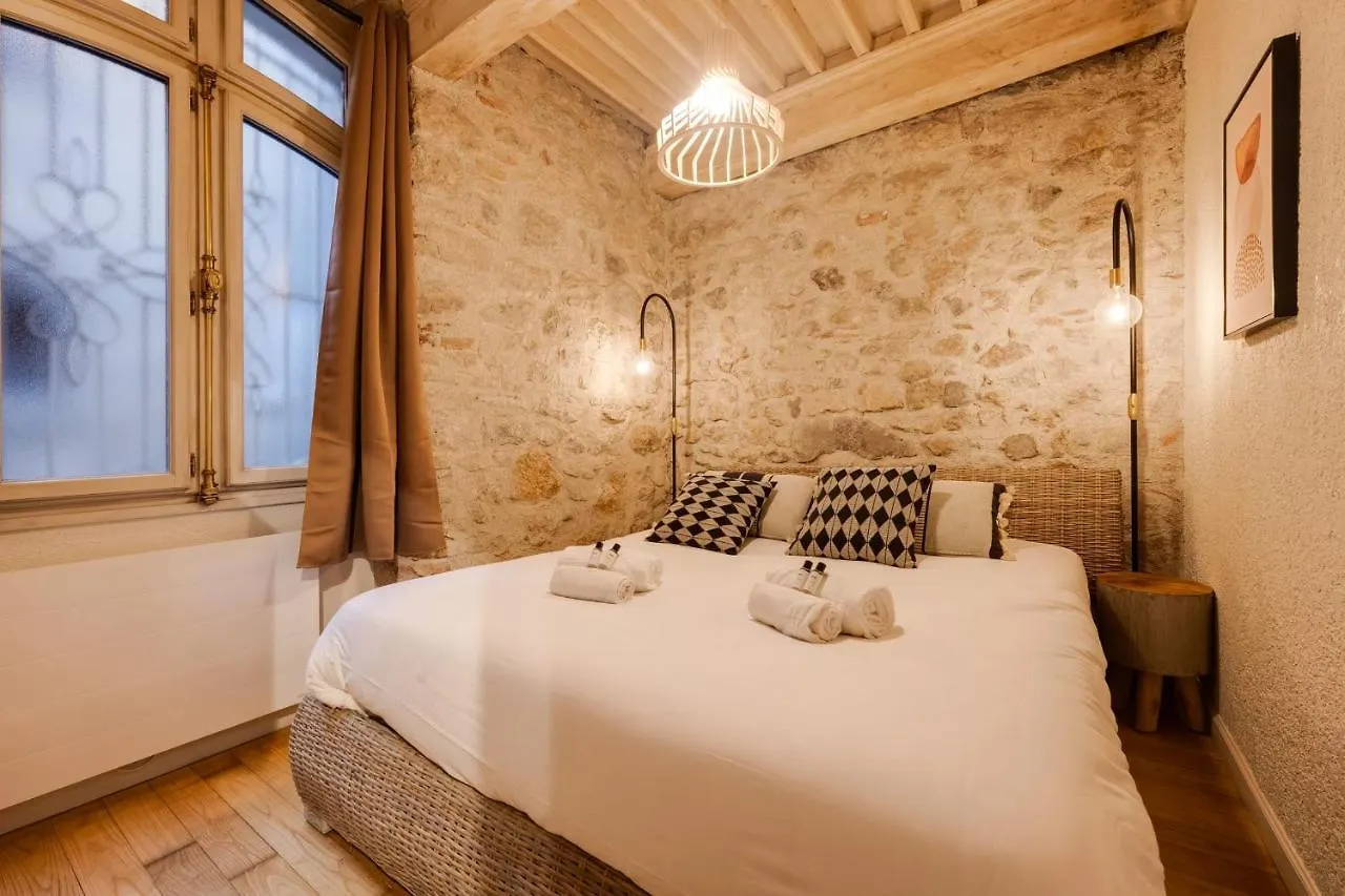 Le Balcon Perriere II - Charming Apartment With Direct View Of The Thiou Annecy